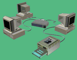 networkpicture2.jpg (22116 bytes)